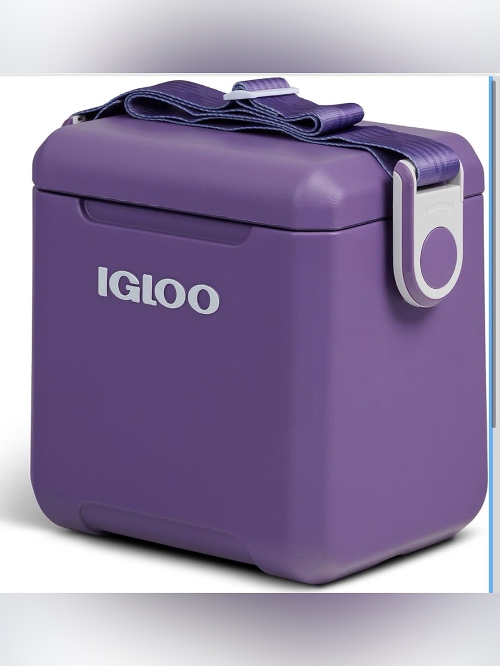 Igloo Portable Cooler